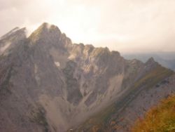 2013-09-08_6Falkenh-Steinfalk (205)06.JPG